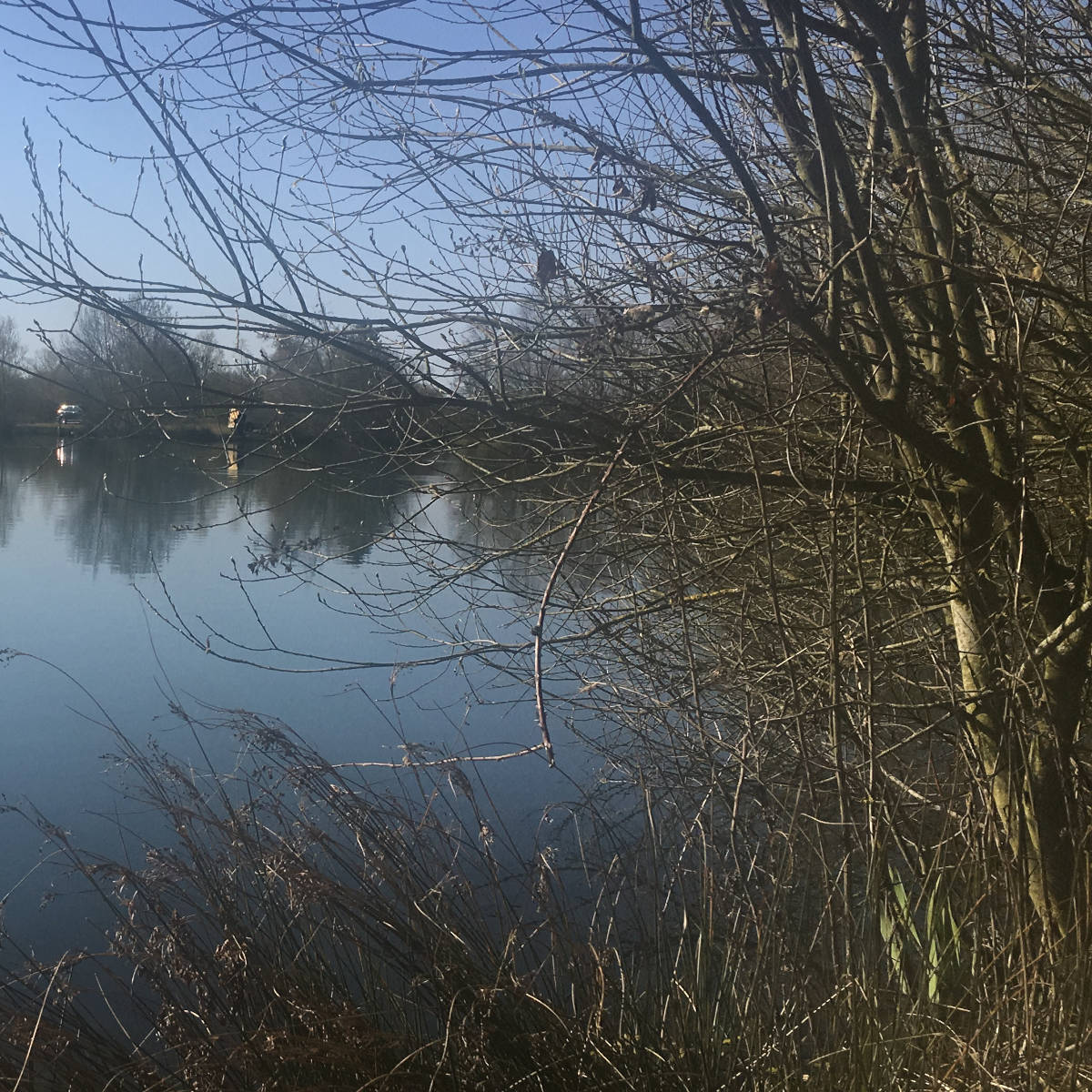 Lake fishing allows you to catch many different species of lake fish