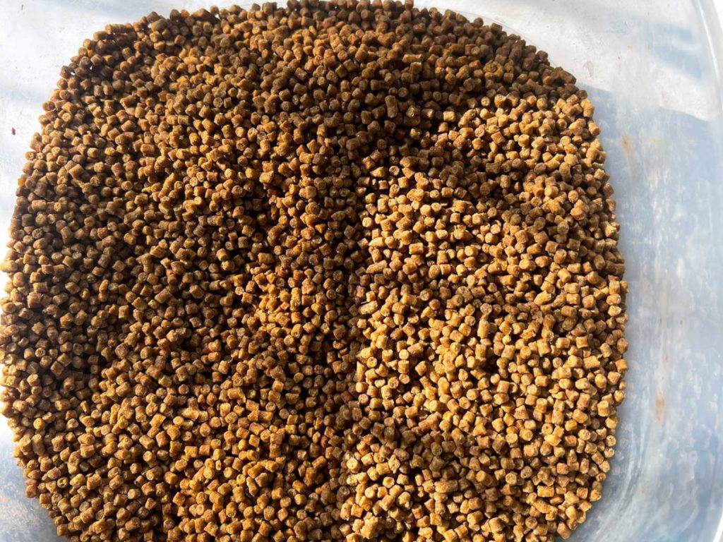 Dried Feeder pellets