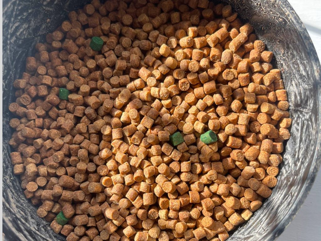 Fishing pellets used for bait to attract fish
