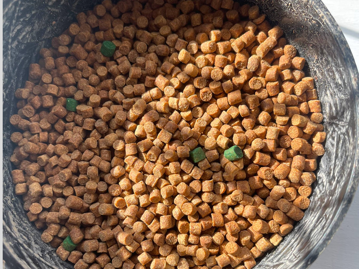 Fishing pellets used for bait to attract fish
